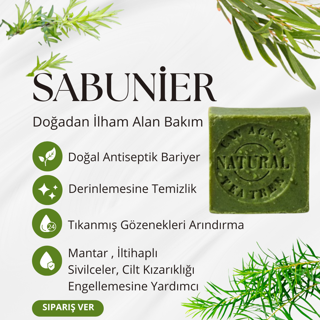 Sabunier Saf Çay Ağacı