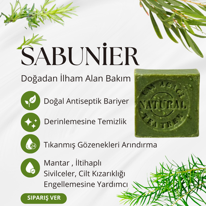 Sabunier Saf Çay Ağacı