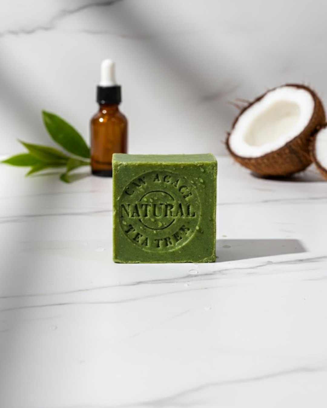 Sabunier Saf Çay Ağacı