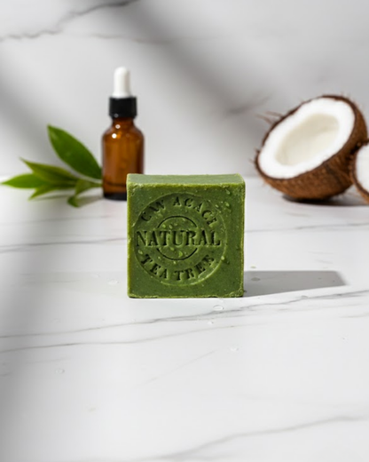 Sabunier Saf Çay Ağacı